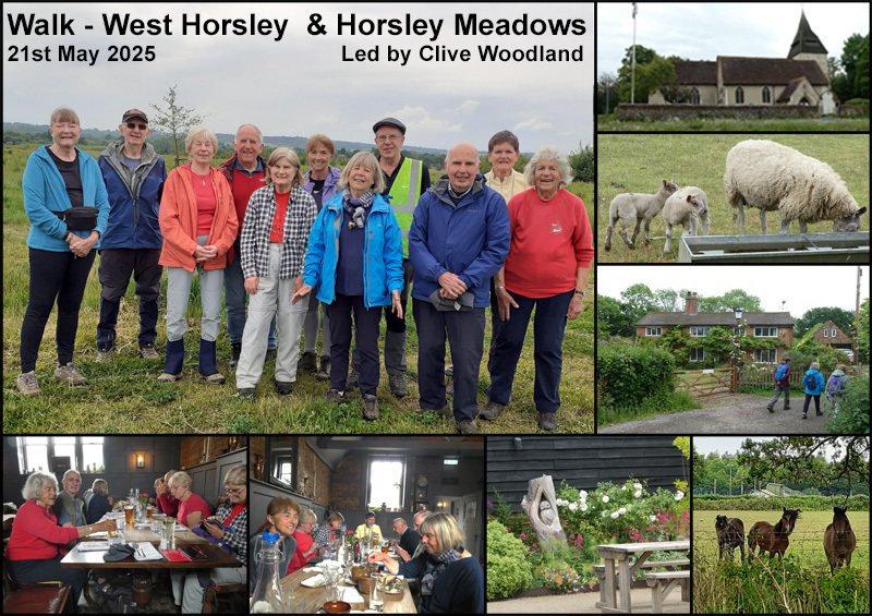 Walk - West Horsley & Horsley Meadows - 21st May 2025 